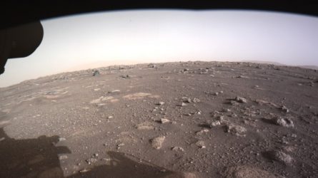Dies ist das erste hochauflösende Farbbild, das von dem Perseverance Mars Rover nach seiner Landung am 18. Februar 2021 aufgenommen wurde. © NASA/JPL-Caltech