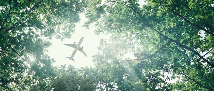 Ett flygplan flyger över en solig grönskande skog. 